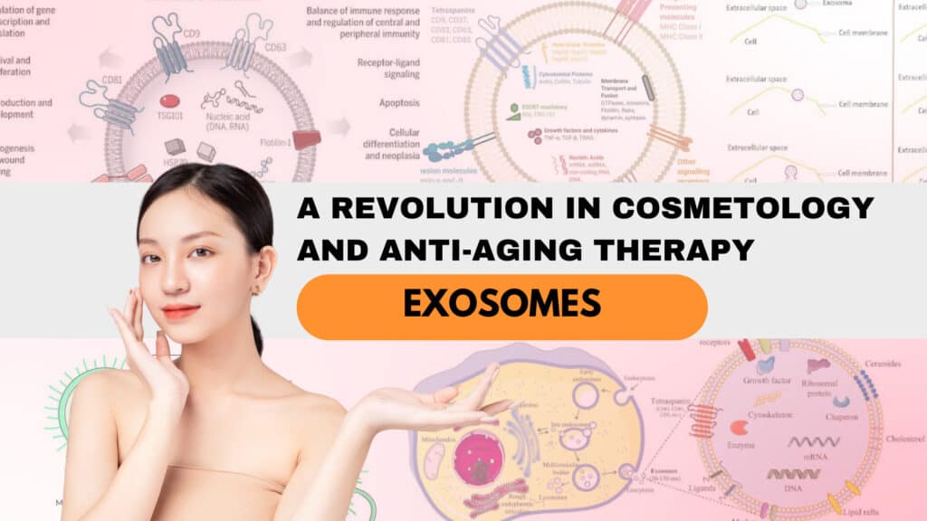 Exosomes A Revolution in Cosmetology and Anti-Aging Therapy