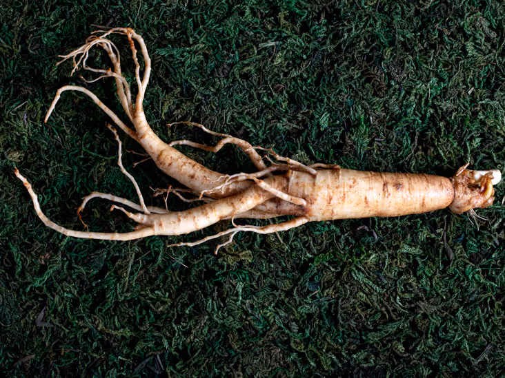 photo of a ginseng